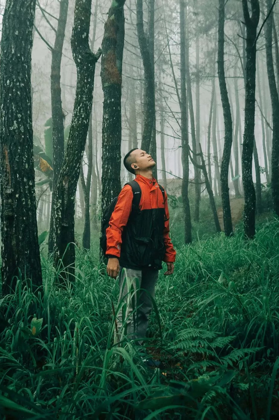 Solutions To End The Climate Crisis Scaled